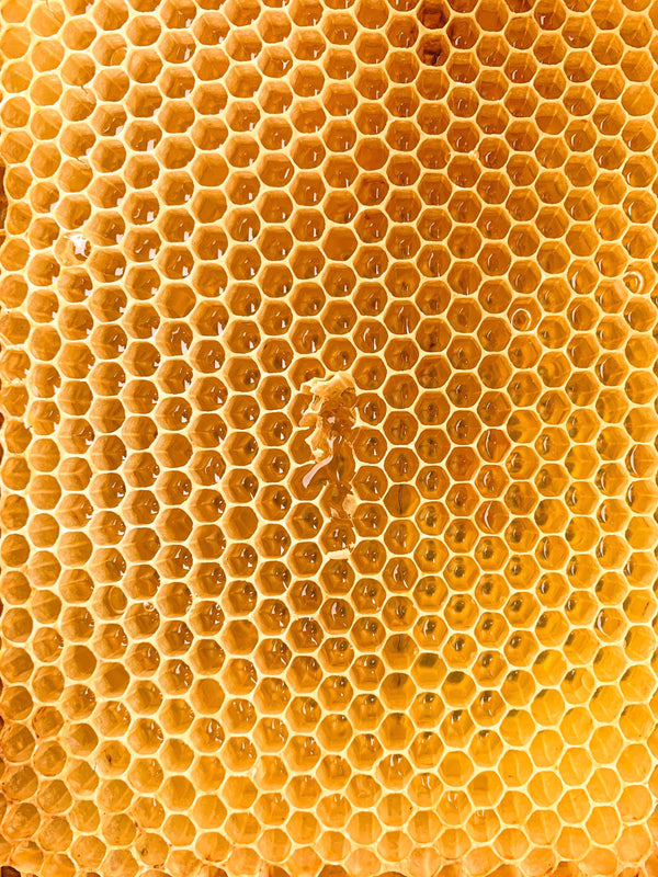 Debunking Honey Myths You Were Brought Up To Believe